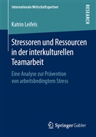 Katrin Leifels - Stressoren und Ressourcen in der interkulturellen Teamarbeit