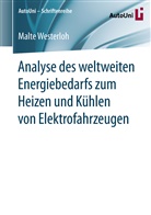 Malte Westerloh - Analyse des weltweiten Energiebedarfs zum Heizen und Kühlen von Elektrofahrzeugen