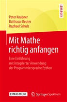 Pete Knabner, Peter Knabner, Balthasa Reuter, Balthasar Reuter, Raphael Schulz - Mit Mathe richtig anfangen