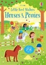 Kirsteen Robson, Robson Kirsteen, Adrien Siroy, Adrien Siroy - Horses and Ponies