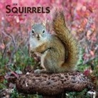 Inc Browntrout Publishers, Browntrout Publishing (COR) - Squirrels 2020 Calendar