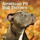 Inc Browntrout Publishers, Browntrout Publishing (COR) - American Pit Bull Terriers 2020 Calendar