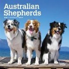 Inc Browntrout Publishers, Browntrout Publishing (COR) - Australian Shepherds 2020 Calendar