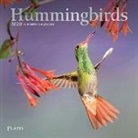 Inc Browntrout Publishers, Browntrout Publishing (COR) - Hummingbirds 2020 Calendar