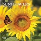 Inc Browntrout Publishers, Browntrout Publishing (COR) - Sunflowers 2020 Calendar