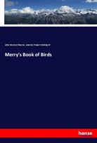 America Project Making of, Making of America Project, John Newto Stearns, John Newton Stearns - Merry's Book of Birds