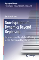 Bernhard Rauer - Non-Equilibrium Dynamics Beyond Dephasing