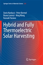 Pete Bermel, Peter Bermel, Bruno Lorenzi, Bruno et al Lorenzi, Dari Narducci, Dario Narducci... - Hybrid and Fully Thermoelectric Solar Harvesting