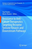 Elkabets, Elkabets, Moshe Elkabets, Yose Yarden, Yosef Yarden - Resistance to Anti-Cancer Therapeutics Targeting Receptor Tyrosine Kinases and Downstream Pathways