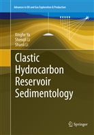 Shengl Li, Shengli Li, Shunli Li, Xingh Yu, Xinghe Yu - Clastic Hydrocarbon Reservoir Sedimentology