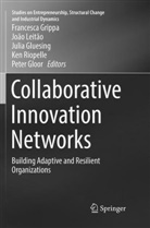Peter Gloor, Julia Gluesing, Julia Gluesing et al, Francesca Grippa, Joã Leitão, João Leitão... - Collaborative Innovation Networks