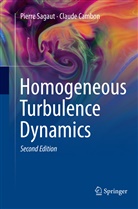 Claude Cambon, Pierr Sagaut, Pierre Sagaut - Homogeneous Turbulence Dynamics