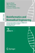 Francisco Ortuño, Fernando Rojas, Ignacio Rojas, Fernando Rojas et al, Olg Valenzuela, Olga Valenzuela - Bioinformatics and Biomedical Engineering