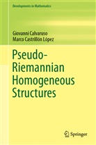 Giovann Calvaruso, Giovanni Calvaruso, Marco Castrillón López - Pseudo-Riemannian Homogeneous Structures