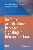 Akinori Akaike, Yoshimi Misu, Shu Shimohama, Shun Shimohama - Nicotinic Acetylcholine Receptor Signaling in Neuroprotection