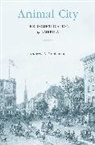 Andrew Robichaud, Andrew A Robichaud, Andrew A. Robichaud - Animal City