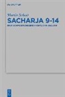 Martin Schott - Sacharja 9-14