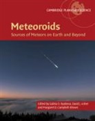 Galina O. Ryabova, Galina O. Asher Ryabova, David J. Asher, Margaret D. Campbell-Brown, Margaret D. (University of Western Ontario) Campbell-Brown, Galina O. Ryabova - Meteoroids