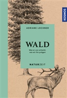 Adriane Lochner - Naturzeit Wald