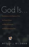 Wesley J. Wildman - God Is