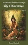 Teresa Marshall - The Fairies of Tumbledown Cottage 2