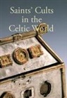 Steve Boardman, Steve Boardman, Steven Boardman, John Reuben Davies, Eila Williamson - Saints' Cults in the Celtic World