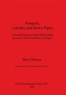 Barry Hobson, Helen Molesworth, Kate Trusler - Pompeii, Latrines and Down Pipes
