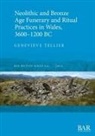 Genevieve Tellier, Geneviève Tellier - Neolithic and Bronze Age Funerary and Ritual Practices in Wales, 3600-1200 BC