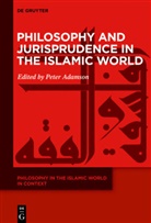 Pete Adamson, Peter Adamson, Nadja Germann, Reza Hajatpour, Ulrich Rudolph, Georges Tamer - Philosophy in the Islamic World in Context - Volume 1: Philosophy and Jurisprudence in the Islamic World