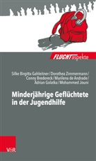 BR, Conny Bredereck, Conny Martina Bredereck, Marilena de Andrade, Silke Birgitt Gahleitner, Silke Birgitta Gahleitner... - Minderjährige Geflüchtete in der Jugendhilfe
