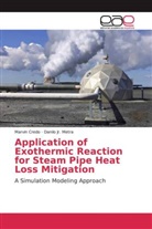 Marvi Credo, Marvin Credo, Danilo Metra, Danilo Jr Metra, Danilo Jr. Metra - Application of Exothermic Reaction for Steam Pipe Heat Loss Mitigation