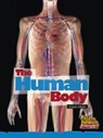 Cheryl Jakab - The Human Body