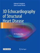 Hakime Sadeghian, Hakimeh Sadeghian, Zahra Savand-Roomi - 3D Echocardiography of Structural Heart Disease