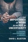 David L. Blustein, David L. (Professor of Psychology Blustein, Blustein David L. - Importance of Work in an Age of Uncertainty