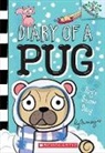 Kyla May Horsfall, Kyla May, Kyla/ May May, Kyla May Horsfall, Kyla May - PugÆs Snow Day