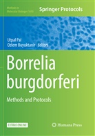 Buyuktanir, Buyuktanir, Ozlem Buyuktanir, Utpa Pal, Utpal Pal - Borrelia burgdorferi