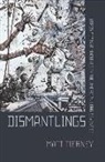 Matt Tierney - Dismantlings