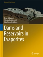 Nikola Maksimovich, Nikolay Maksimovich, Nikolai G. Maximovich, Meshcheriako, Olga Meshcheriakova, Olga Meshcheryakova... - Dams and Reservoirs in Evaporites