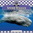 Megan M. Gunderson - Sperm Whales