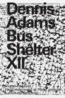 Friedric Meschede, Friedrich Meschede - Dennis Adams. Bus Shelter XII. Shattered Glass / The Confessions of Philip Johnson