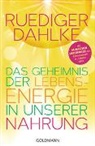 Rüdiger Dahlke - Das Geheimnis der Lebensenergie in unserer Nahrung