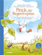 Matthias Meyer-GÃ¶llner, Matthias Meyer-Göllner, Waltraut Michaelis, Carola Sturm, Carola Sturm - Plock, der Regentropfen