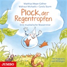 Matthias Meyer-GÃ¶llner, Matthia Meyer-Göllner, Matthias Meyer-Göllner, Waltrau Michaelis, Waltraut Michaelis, Sturm... - Plock, der Regentropfen, Audio-CD (Audio book)