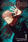Gege Akutami, Gege Akutami - Jujutsu Kaisen