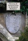 Jane Bliss - Naming and Namelessness in Medieval Romance