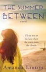 Amanda V Linton, Pilgrim Michael - The Summer Between