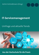 Achi Schmidtmann, Achim Schmidtmann - IT-Servicemanagement (in OWL)