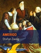 Stefan Zweig - Amerigo. Die Geschichte eines historischen Irrtums