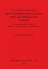 Javier Mangado Llach - La caracterización y el aprovisionamiento de los recursos abióticos en la Prehistoria de Cataluña