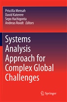 Sepo Hachigonta, Sepo Hachigonta et al, Davi Katerere, David Katerere, Priscilla Mensah, Andreas Roodt - Systems Analysis Approach for Complex Global Challenges